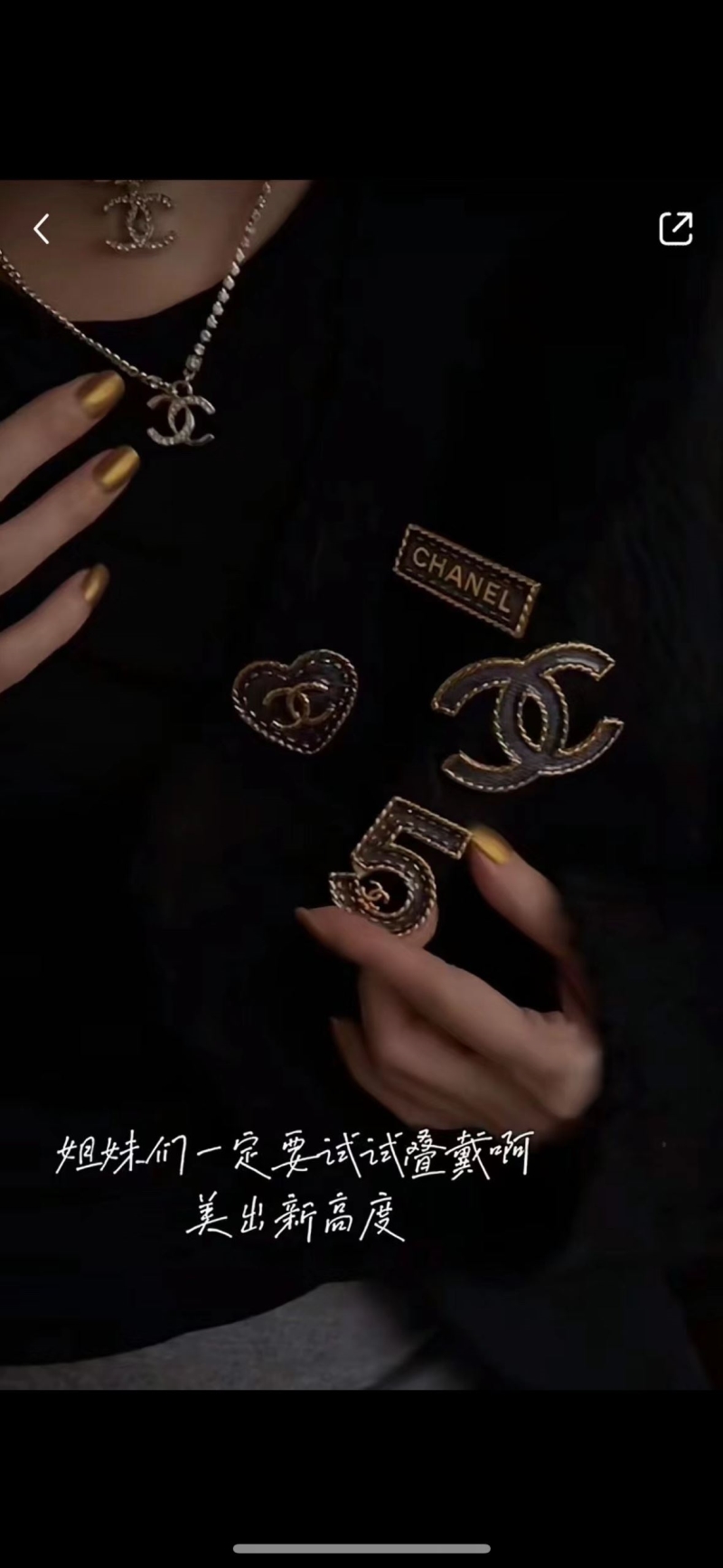 Chanel Brooches